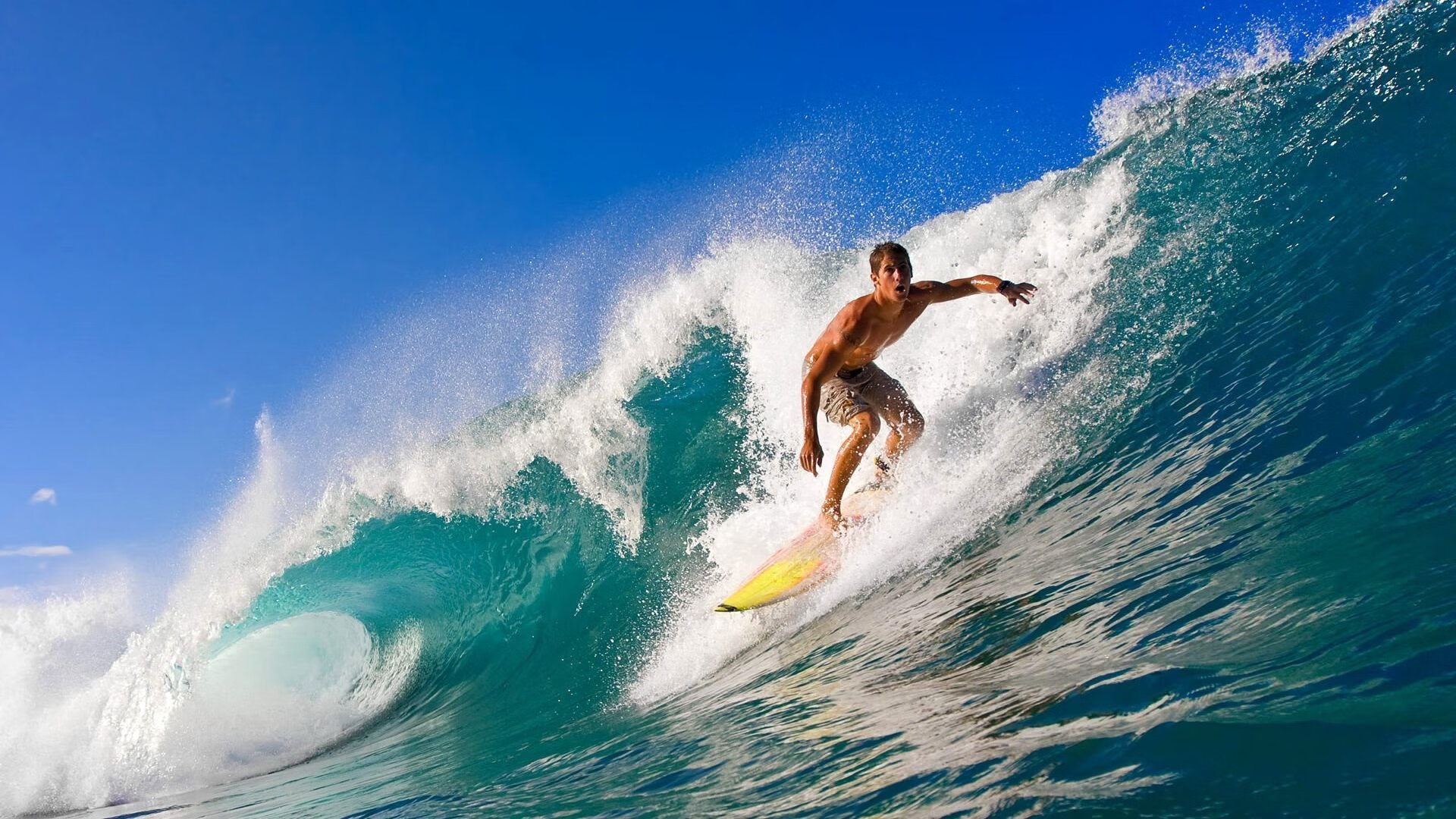 小贾伦主宰比赛走向，开拓者拿下尼克斯