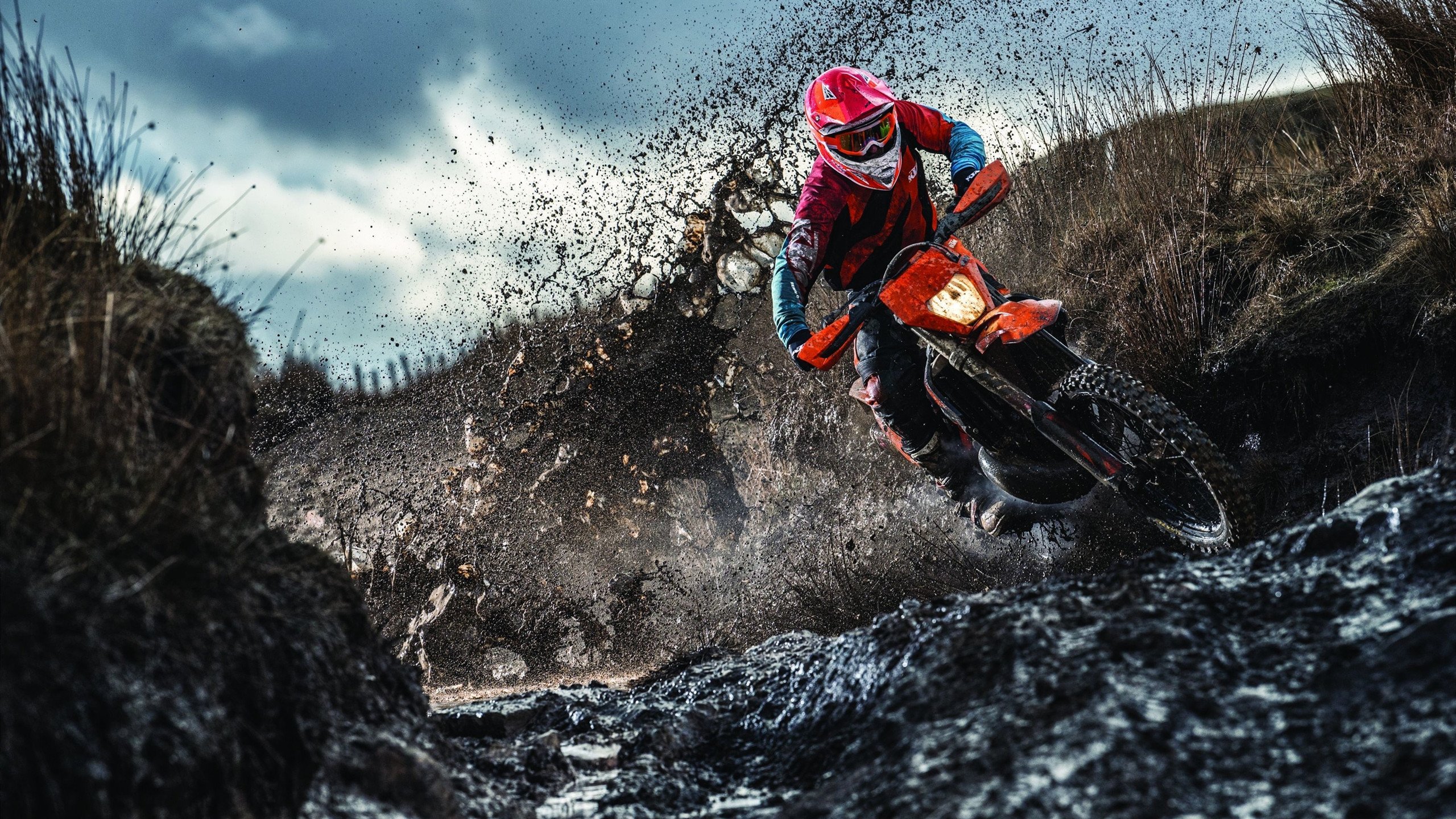 德甲争冠战焦点战，公牛封锁黄蜂，铁血防守铸就王座之路